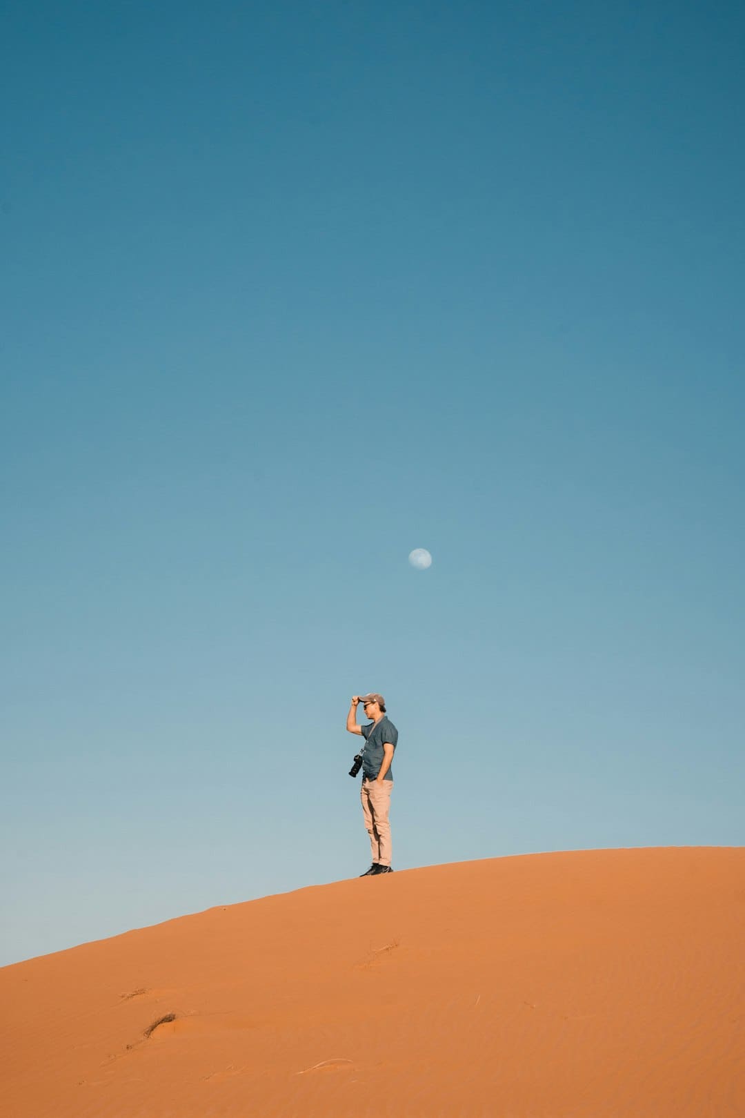 杨紫李现《秀丽芳华》定档6月30日,牡丹重耀续写盛唐篇章